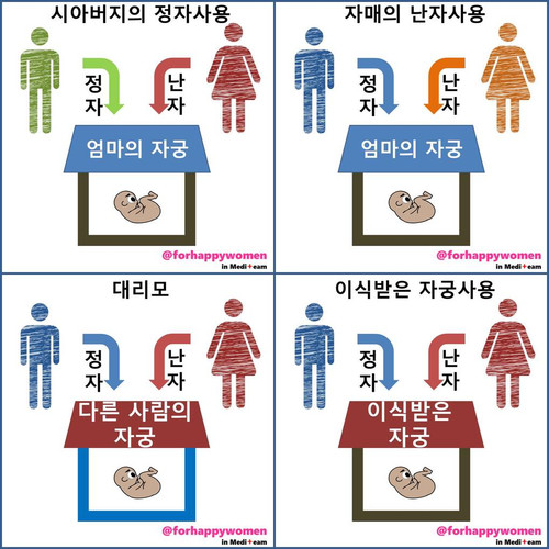 여러형태의 임신.jpg