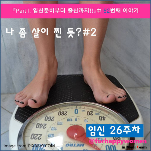 임신중 체중증가.jpg