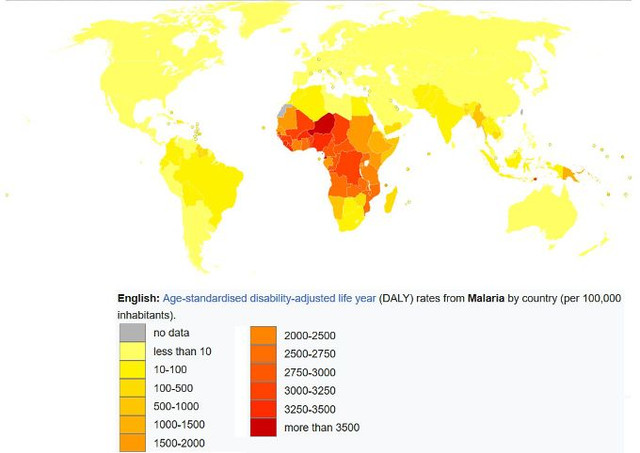 Global disability malaria Lokal_Profil 209 2.5 generic.jpg