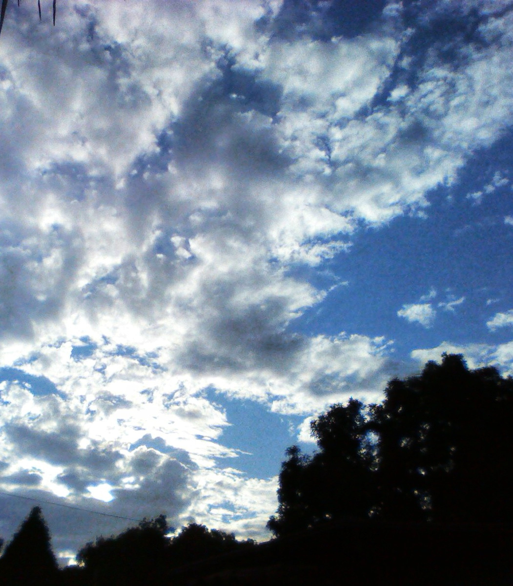 main_image