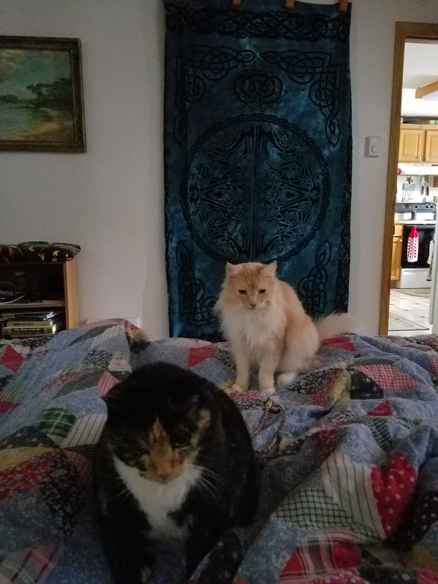 20190202_110401-2268x3024.jpg