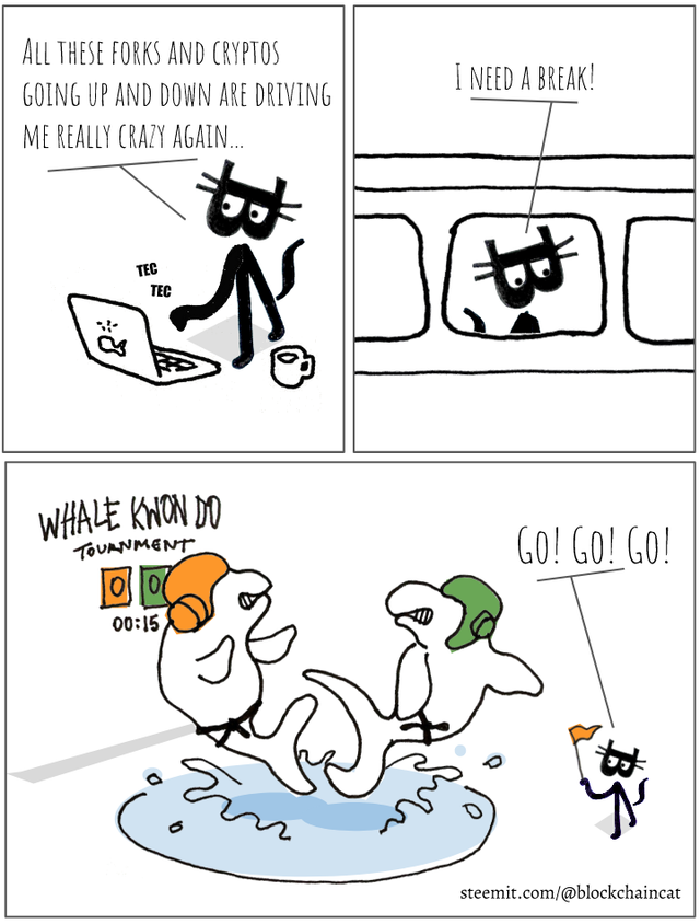 blockchaincat_whalekwondo.png