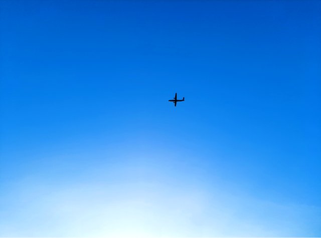 InShot_20220930_090901162.jpg