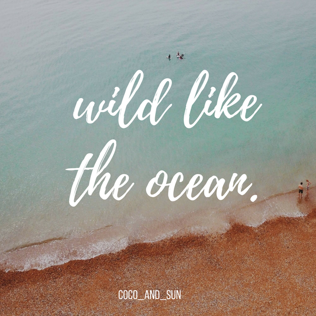 wild like the ocean.png