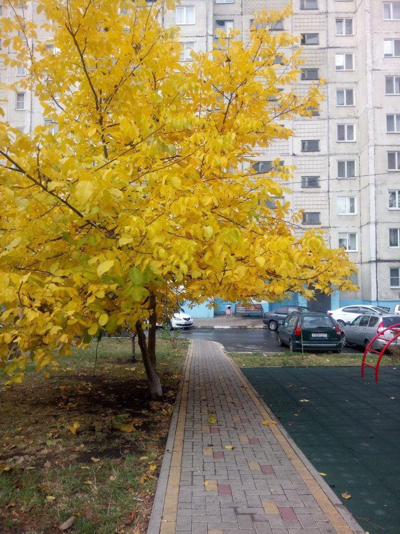 Осень в белгороде фото