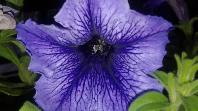 thumbnail_20171209_121726.jpg