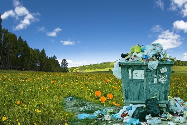 pollution-3441119_960_720.jpg