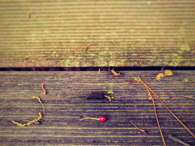 20180513_132503_Film1-01.jpeg
