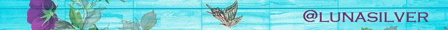turquoise-2353634_960_720.jpg