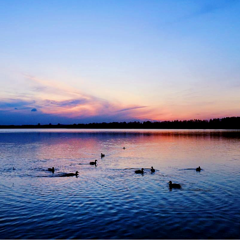 Водохранилище дрозды минск фото