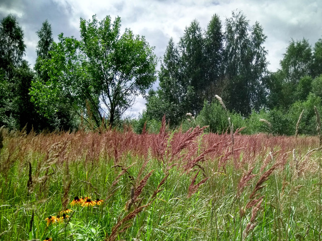 IMG_20180726_120327_HDR-2.jpg