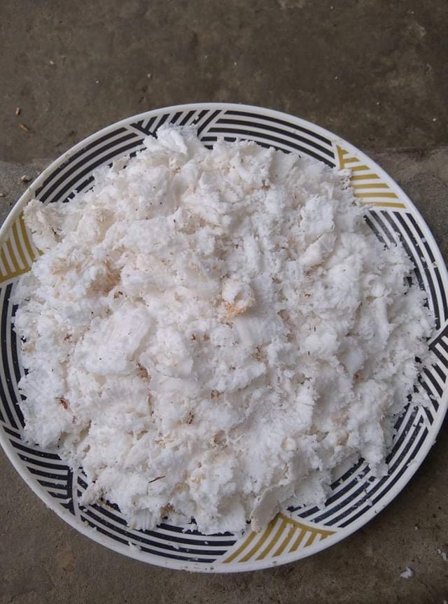 received_538431797178158.jpeg