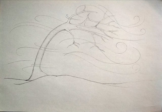 Quick Tips on How to Draw Realistic Wind with Ordinary Pencil — Steemit