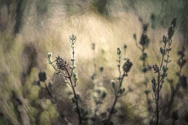 DSC01748-2-CHi-2-Exp-2-ST.png