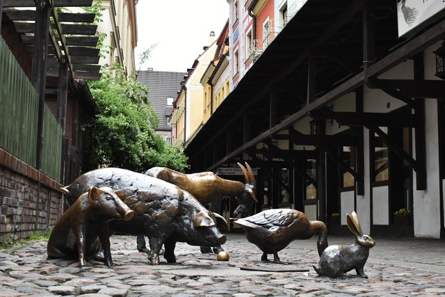Wroclaw jatki animals.jpg
