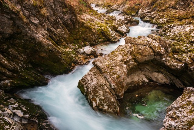 2019-03-18-Slovenia-Vintgar-Gorge-03.jpg