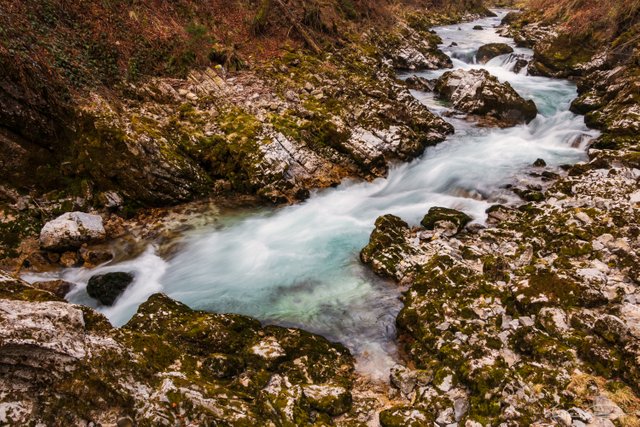 2019-03-18-Slovenia-Vintgar-Gorge-01.jpg