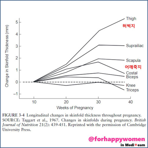 어깨죽지.jpg