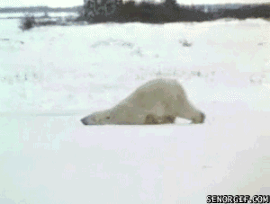 lolsclub.com-Going-to-work-on-Monday.gif