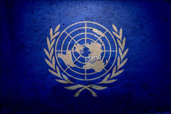 United Nation- Universal Declaration of Human Rights: The Definitive ...