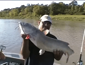E17758EF-3F2E-4238-94B0-F28F19AD90D7.gif