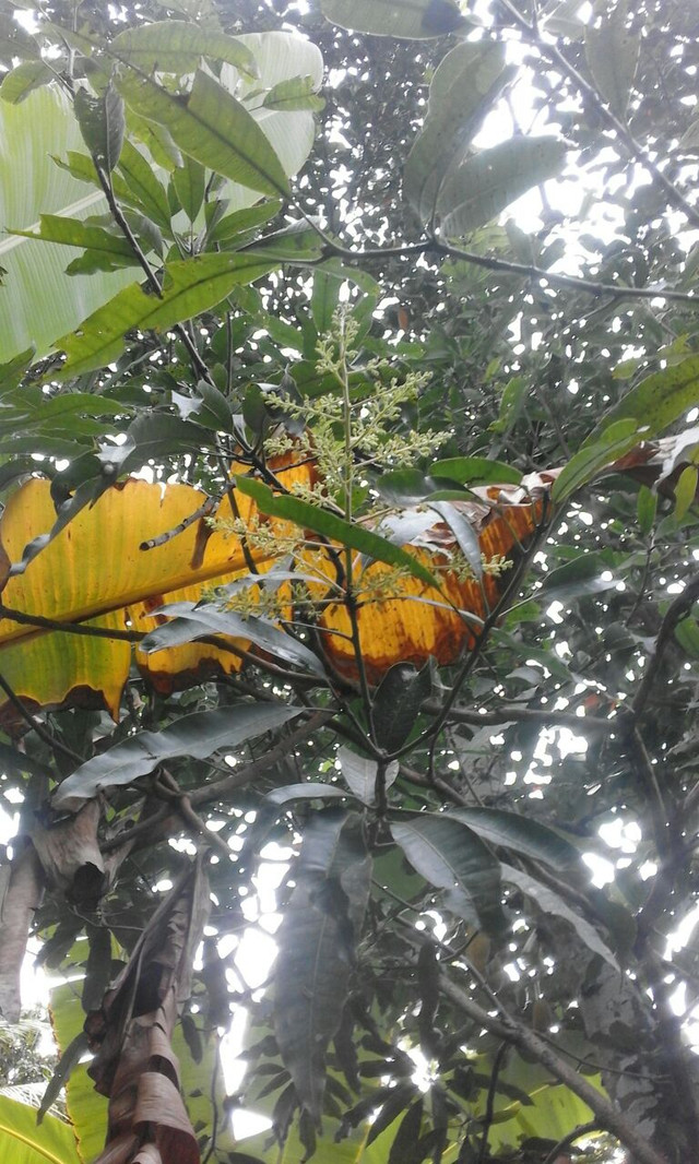 8970b51a-9e6d-4b8b-91ff-67ee3f377ae9.jpg