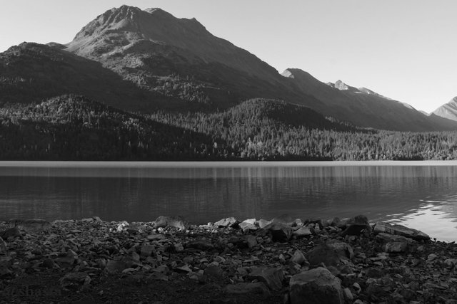 shasta2018nov12th47uppertraillake9io.jpg