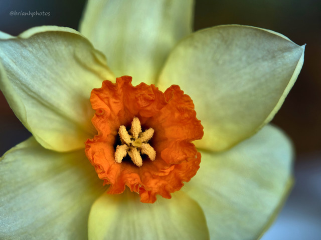 2018-04-07-02.27.09 ZS retouched.jpg