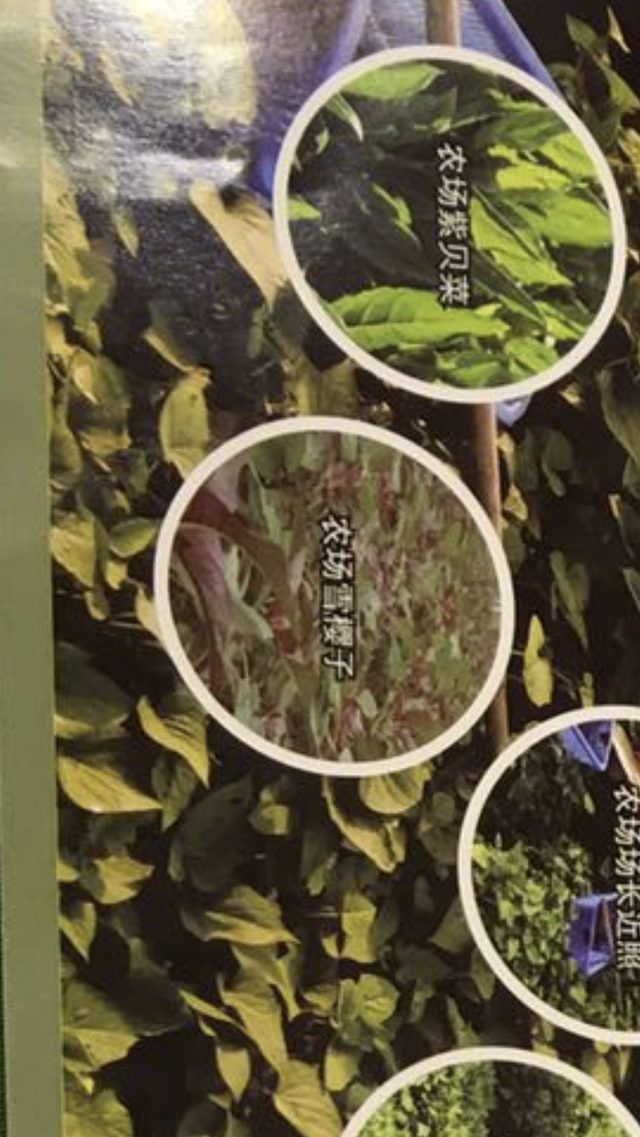 55FF8EA1-825A-47E1-915E-56B2473CAF97.png