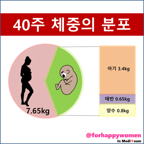 체중분포.gif