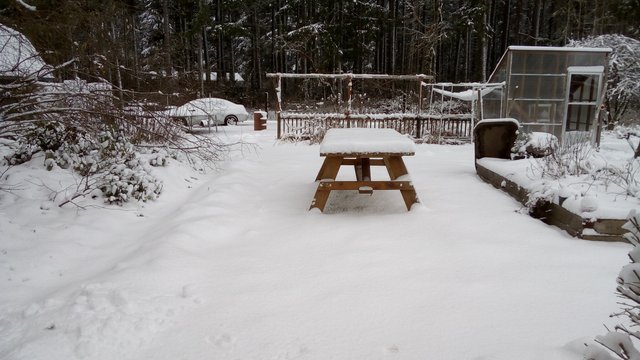 Picnic Table IMG_20190209_110059.jpg