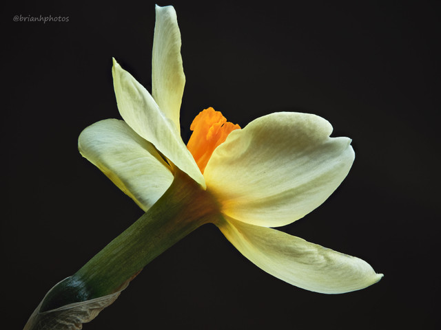 2018-04-07-01.15.16 ZS retouched.jpg