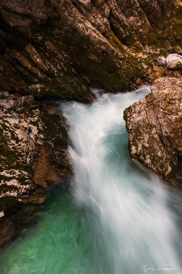 2019-03-18-Slovenia-Vintgar-Gorge-05.jpg