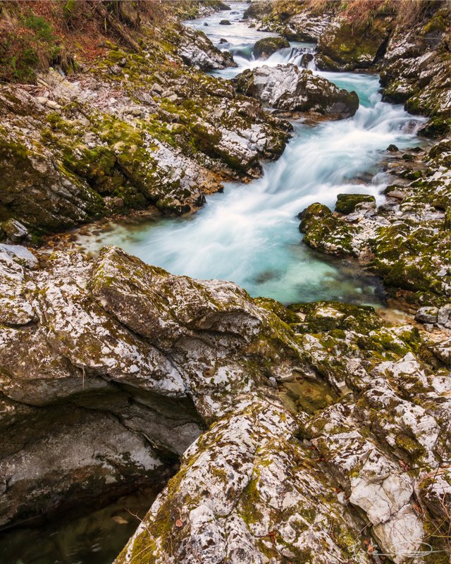 2019-03-18-Slovenia-Vintgar-Gorge-06.jpg