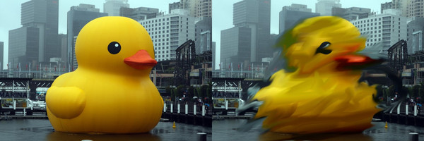 러버덕합.jpg