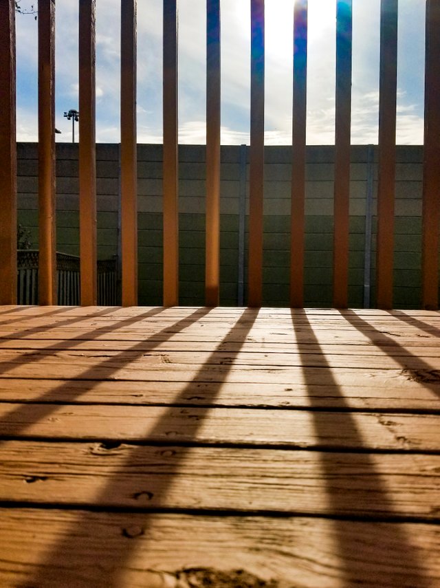 Feel the beauty of the sun.jpg