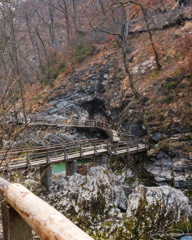 2019-03-18-Slovenia-Vintgar-Gorge-07.jpg
