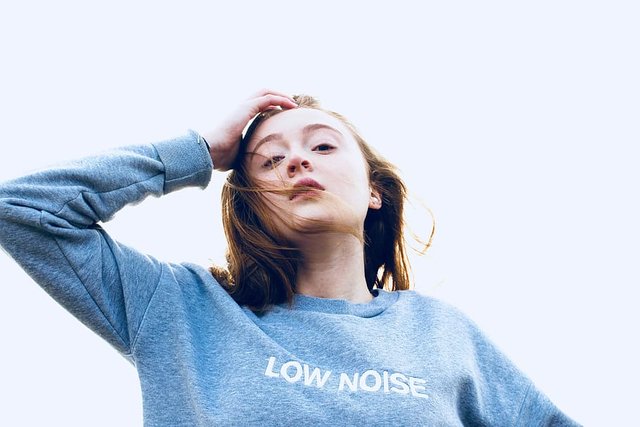 portrait-person-low-noise-sweatshirt.jpg