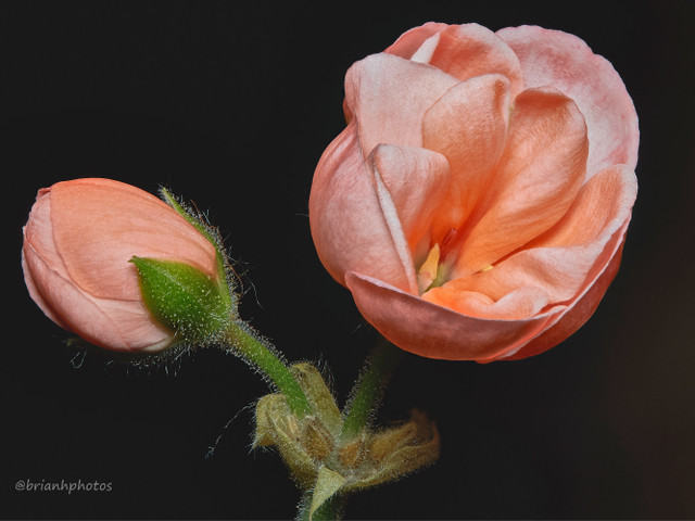 2018-02-04-23.04.08 ZS retouched.jpg