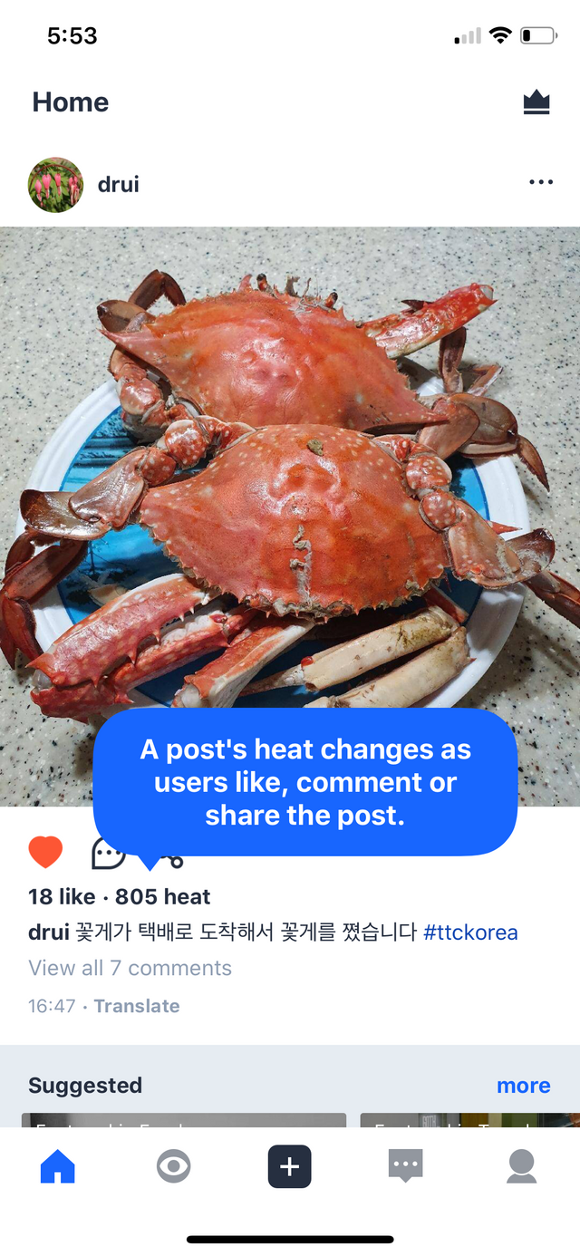 94B8E391-563E-4966-862B-AD7B90FB02B7.png