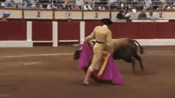 2F4B88B2-FBF0-42D3-8D49-84D3B070D228.gif