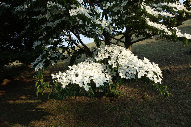수정됨_DSC04617.jpg