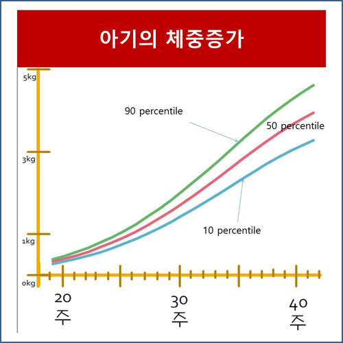 체중곡선.jpg