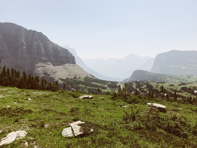 #1 We Climbed Up a Mountain in Glacier National Park...