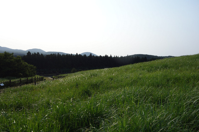 수정됨_DSC04608.jpg