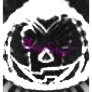 602726FC-CCE2-41FB-9419-4A8397F588D4.gif