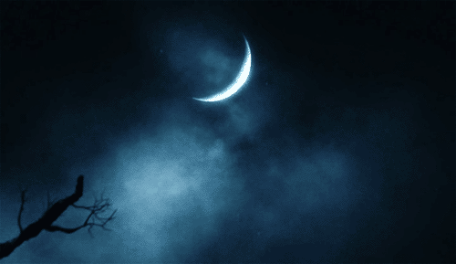 30569E1D-004D-40C6-A48C-A138DF299323.gif