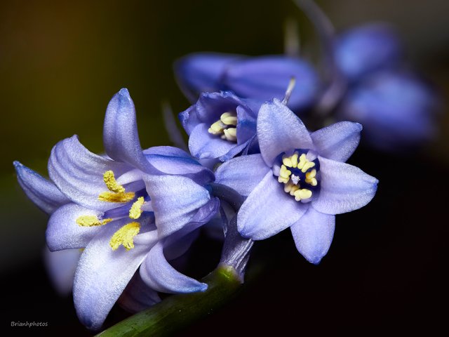 2018-05-04-23.06.35 ZS retouched.jpg