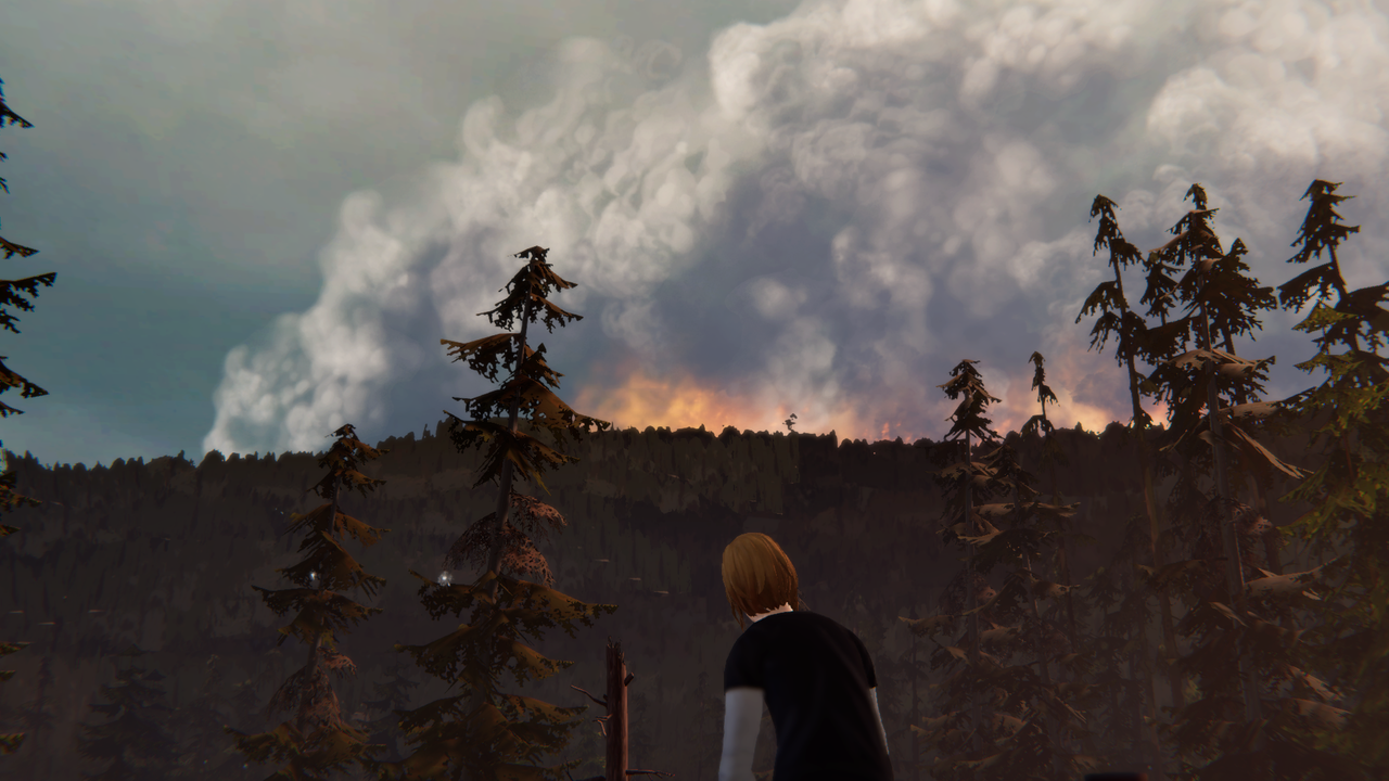 Зе лайф. Life is Strange шторм. Life is Strange лес. Лайф из Стрендж 2 пожар. Life is Strange Лесопилка.