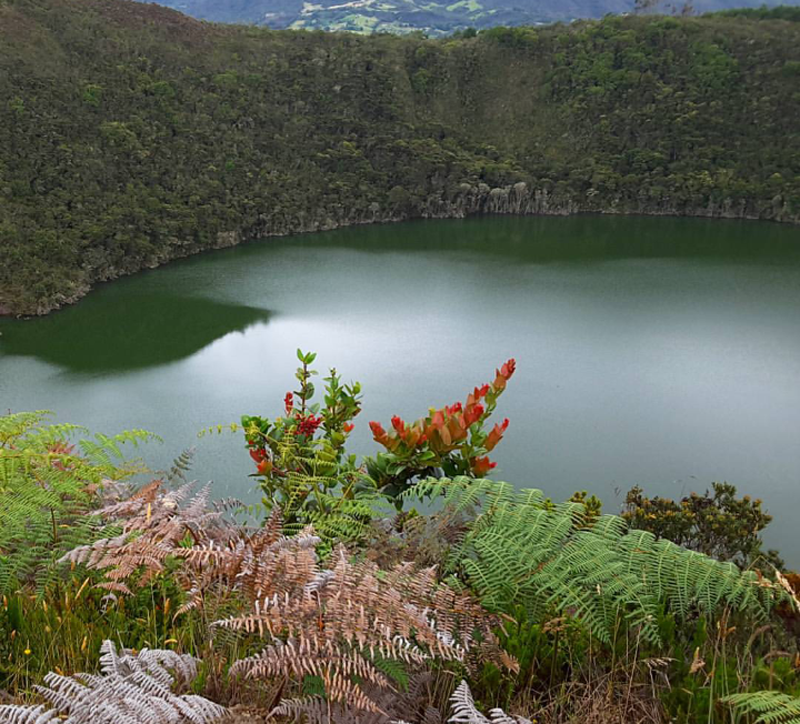 Сокровища в озерах. Озеро Гуатавита Колумбия. Озеро Гуатавита Эльдорадо. Сокровище озера Гуатавита (Guatavita).. Озеро в Колумбии.